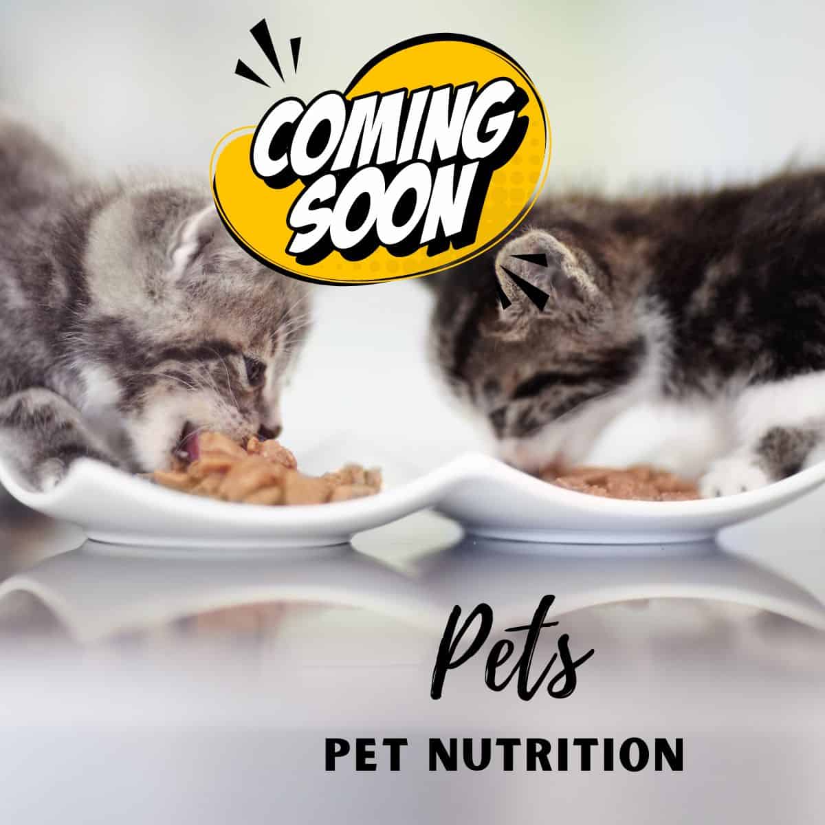 Pet Nutrition Consulting Services - Coming Soon