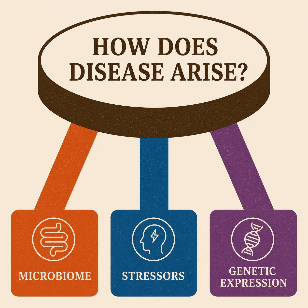 Stool graphic with three legs pointing toward a top that says how does disease arise. Each leg is labeled genetic expression, stressors, microbiome.